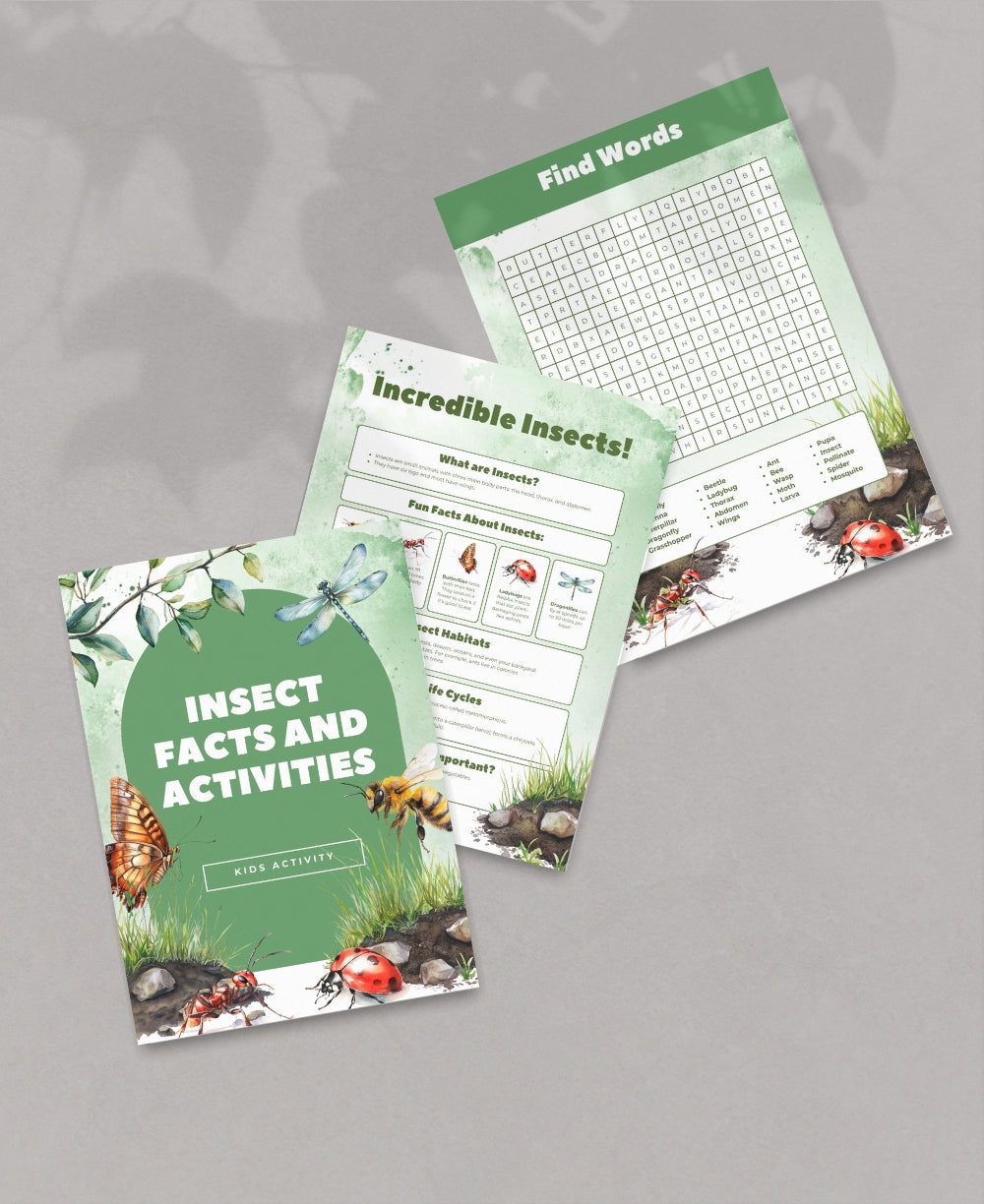 Insect Activity Pack