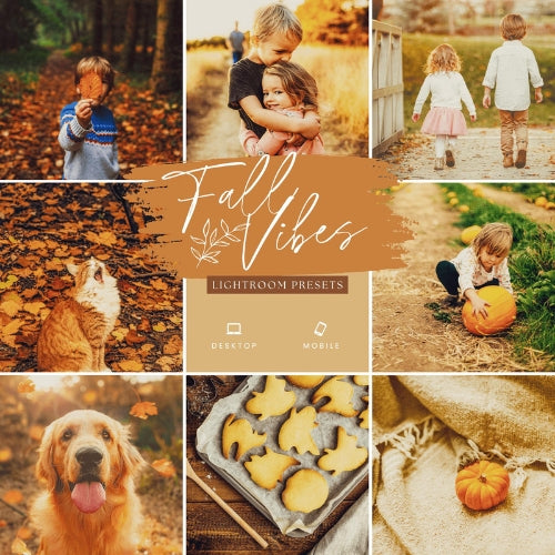 Fall Vibes Lightroom Presets