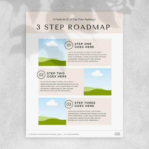 3 Step Roadmap