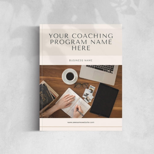 Business Coaching Program